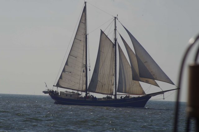 Segeln 2016