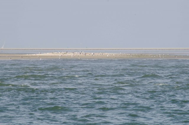 Segeln 2016