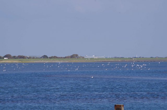 Segeln 2016