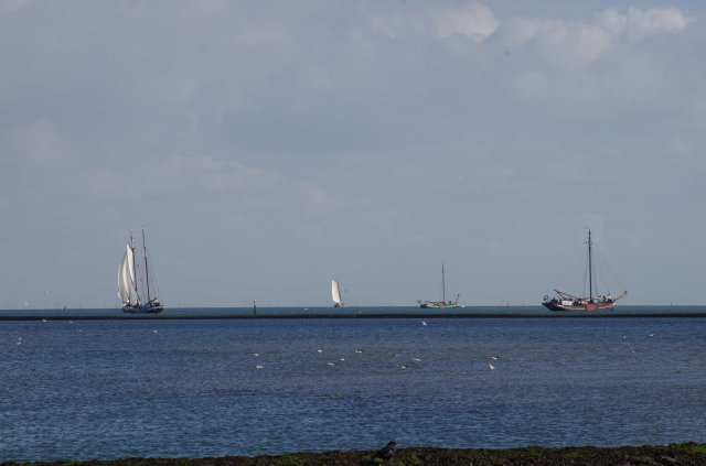 Segeln 2016