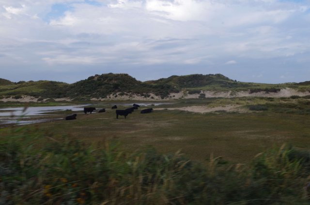 Segeln 2016