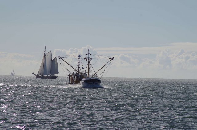 Segeln 2016