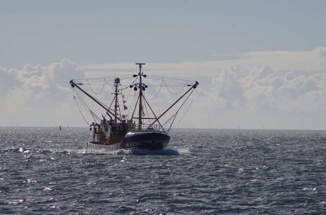 Segeln 2016