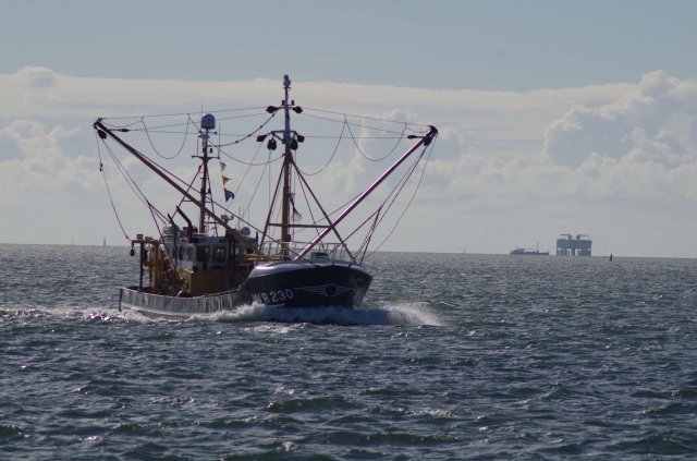 Segeln 2016