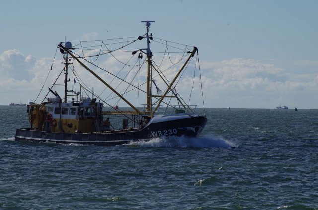 Segeln 2016