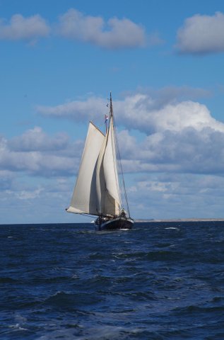 Segeln 2016