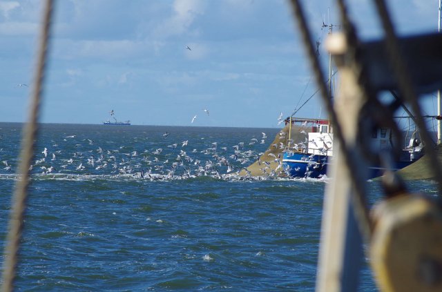 Segeln 2016