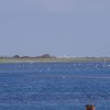 Segeln 2016