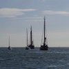 Segeln 2016