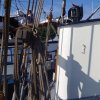 Segeln 2016