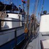 Segeln 2016