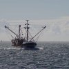 Segeln 2016