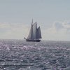 Segeln 2016