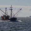 Segeln 2016