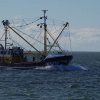 Segeln 2016