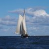 Segeln 2016