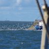 Segeln 2016